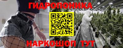 скорость Дубна