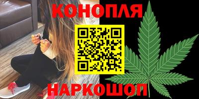 скорость Дубна