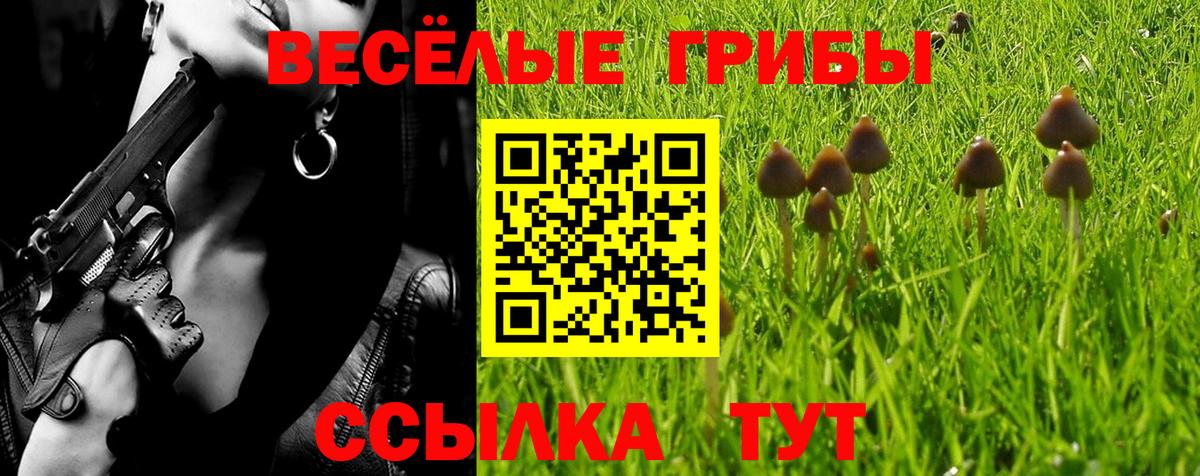 Галлюциногенные грибы ЛСД Новодвинск